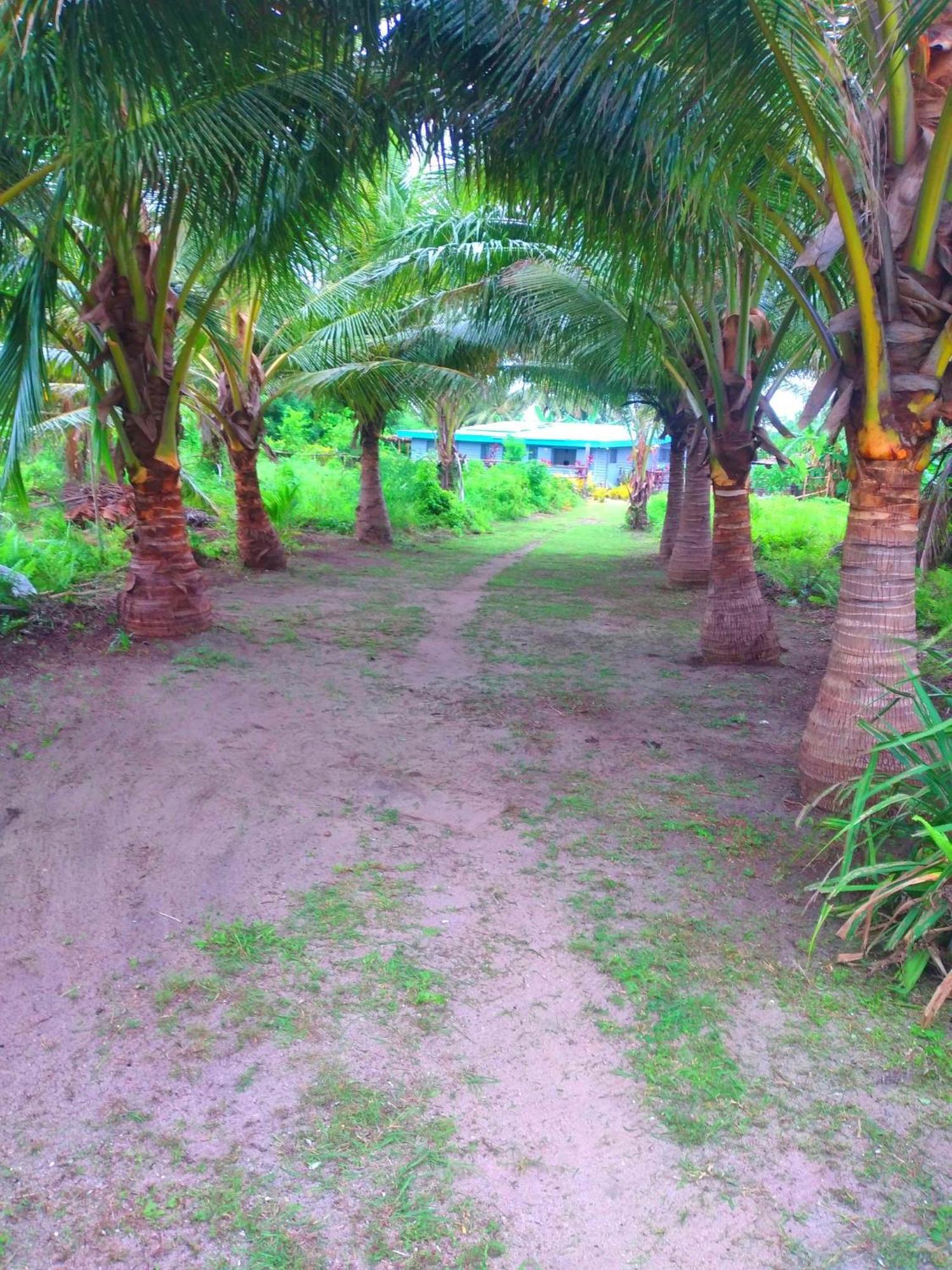 Ravita Cove Homeaway From Home Homestay Matacawalevu Kültér fotó